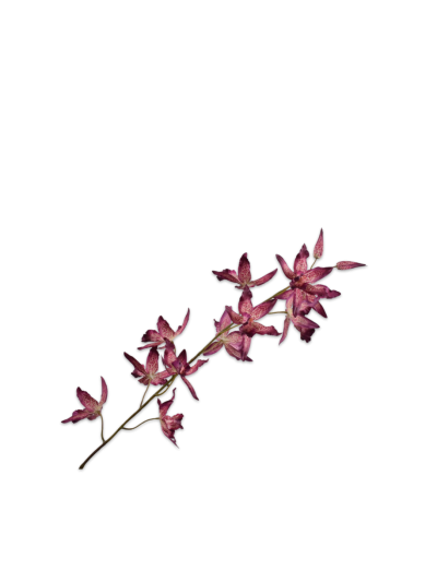 Silk-ka Oncidium Steel Beauty Real Touch 109 cm zijde orchidee - Vorspaget Home