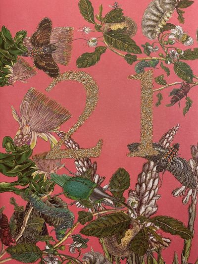 Vanilla Fly | Wenskaart | 21 Jaar