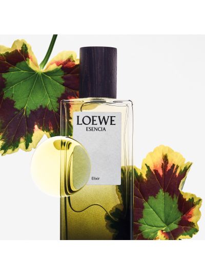 Loewe Perfumes Elixir Esencia Eau de Parfum - Vorspaget Home