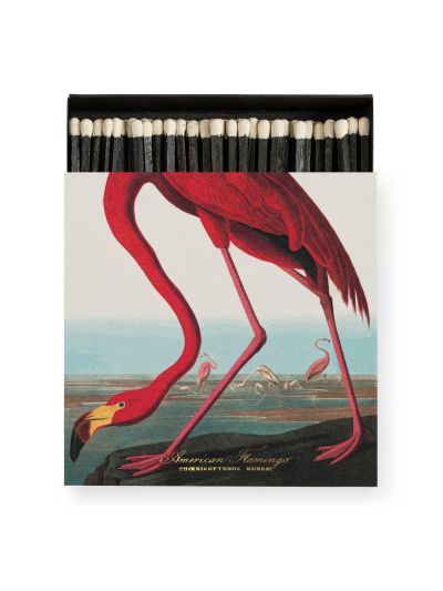 Archivist | The American Flamingo | Vorspaget Home