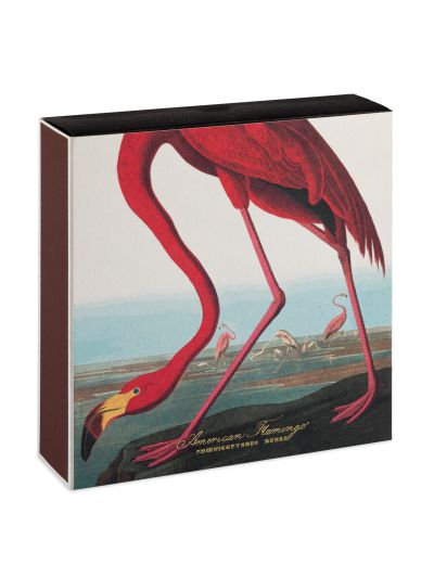 Archivist | The American Flamingo | Vorspaget Home