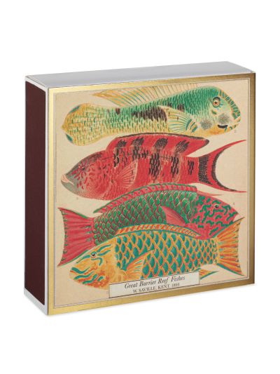 Wedding Gift Z&S | Archivist | Lucifers | Natural History Museum Fish