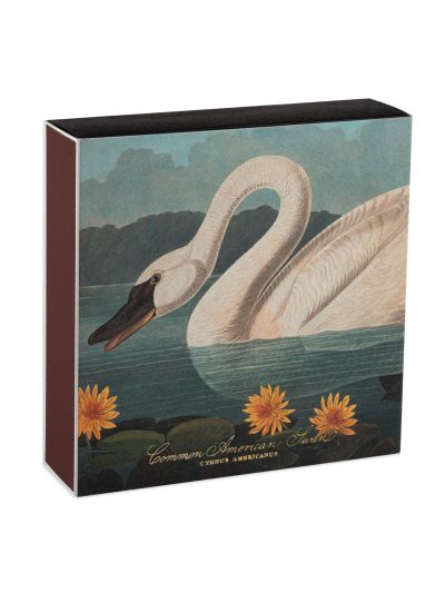 Archivist | Lucifers | American Swan | Vorspaget Home