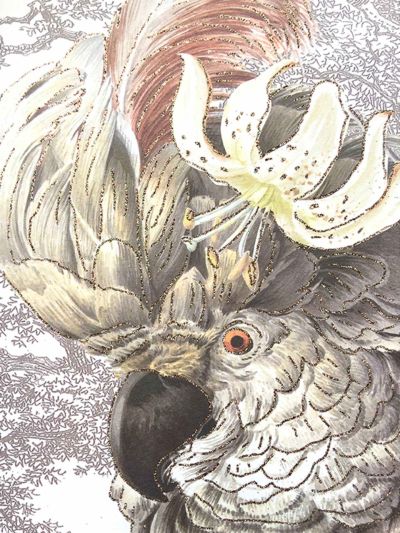 Vanilla Fly | Wenskaart | Parrot | Vorspaget Home