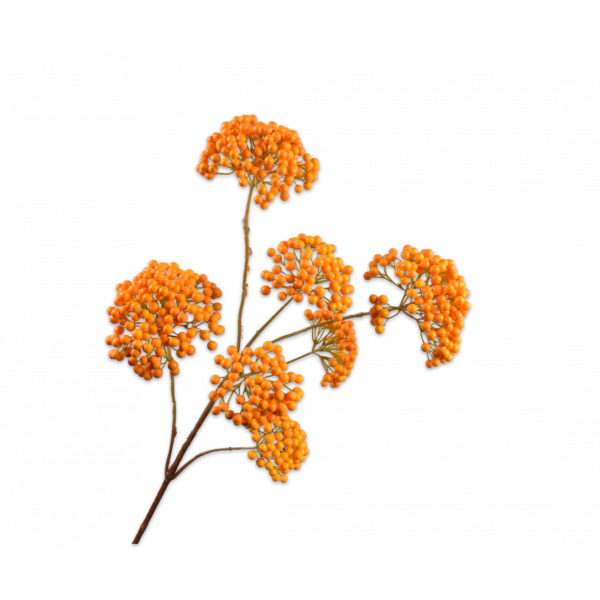 SILK-KA | Silk-ka | Bessen Tak Oranje/Groen | 101cm
