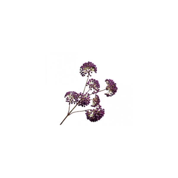 Silk-ka | Bessen Tak Lavendel/Paars | 101cm