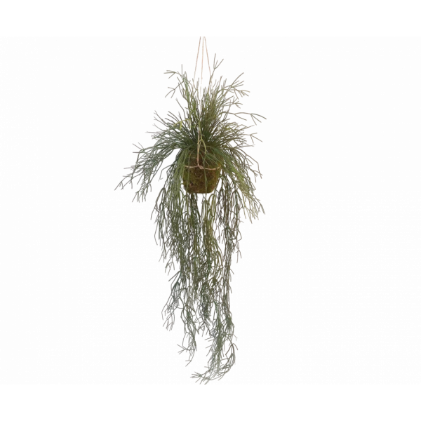 Silk-ka | Succulent Hang Groen | 165cm