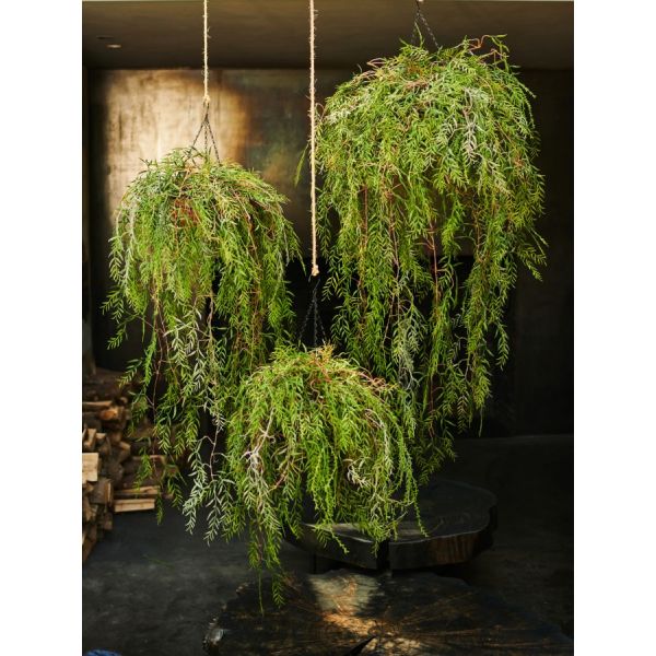 SILK-KA | Silk-ka | Plant Hang Groen | 120cm