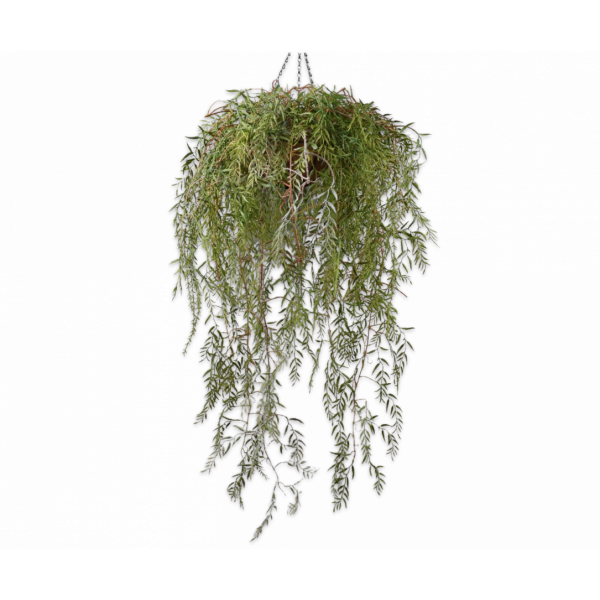 SILK-KA | Silk-ka | Plant Hang Groen | 120cm
