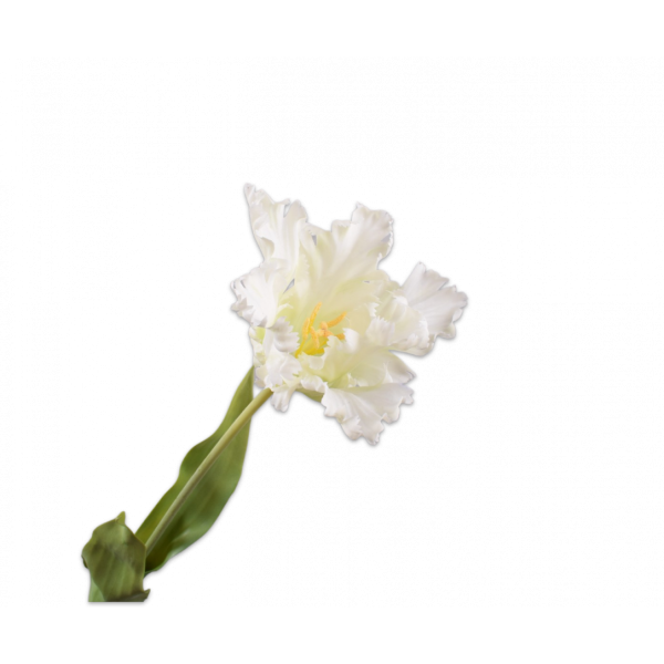 SILK-KA | Silk-ka | Tulp Steel Wit | 71 cm