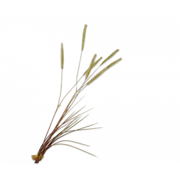 SILK-KA | Silk-ka | Gras tak | Groen | 101cm