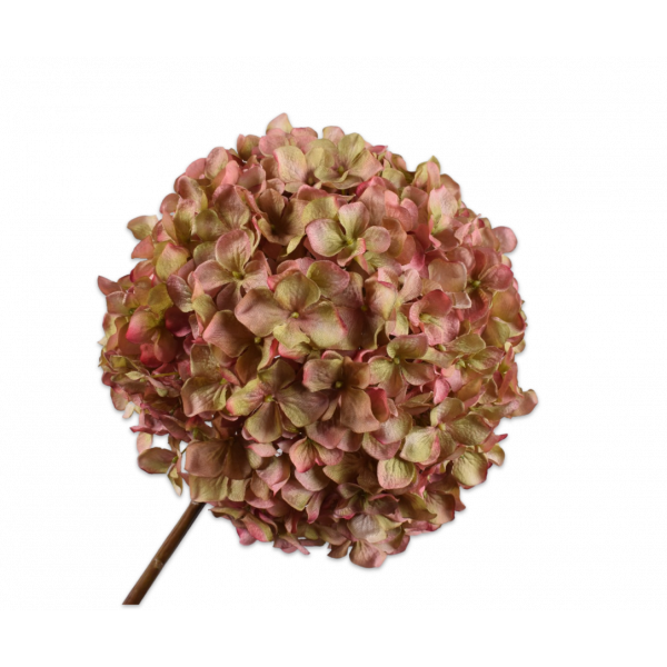Silk-ka | Hortensia |Roze / Groen | 70 cm