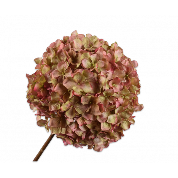 SILK-KA | Silk-ka | Hortensia | Groen/roze | 79 cm