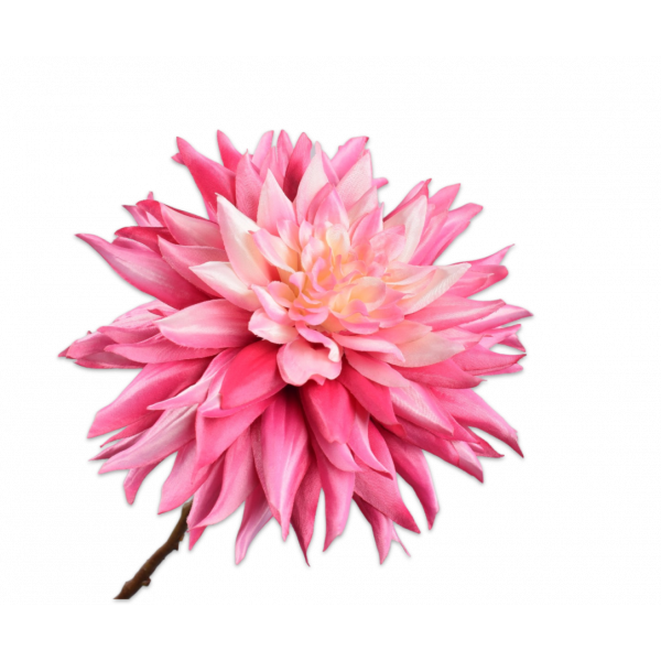 SILK-KA | Silk-ka | Dahlia Tak | roze | 65cm