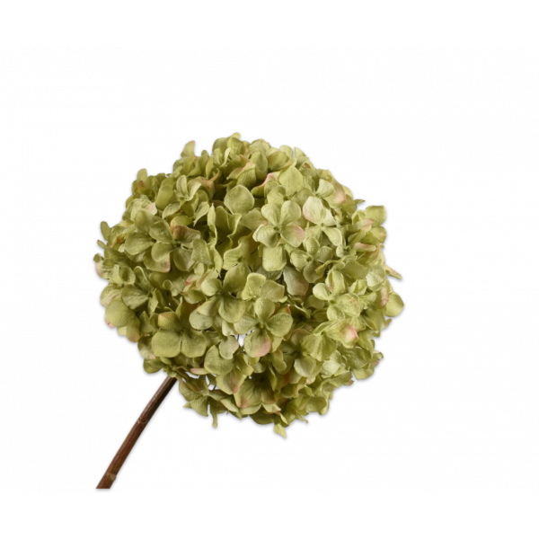 Silk-ka | Hortensia | Groen | 70 cm