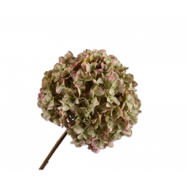 Silk-ka | Hortensia | Groen / Roze | 79 cm