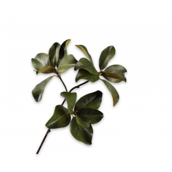 SILK-KA | Silk-ka | Magnolia tak | Groen | 99 cm