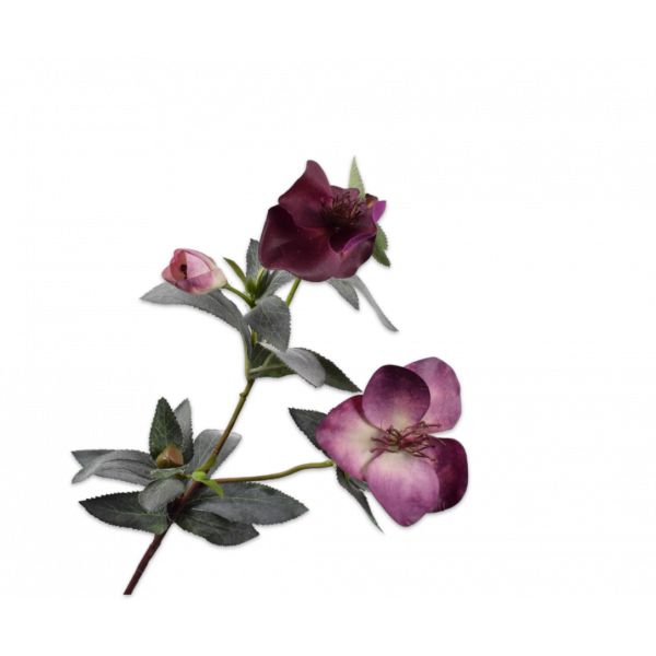 Silk-ka | Helleborus tak | Paars | 64cm