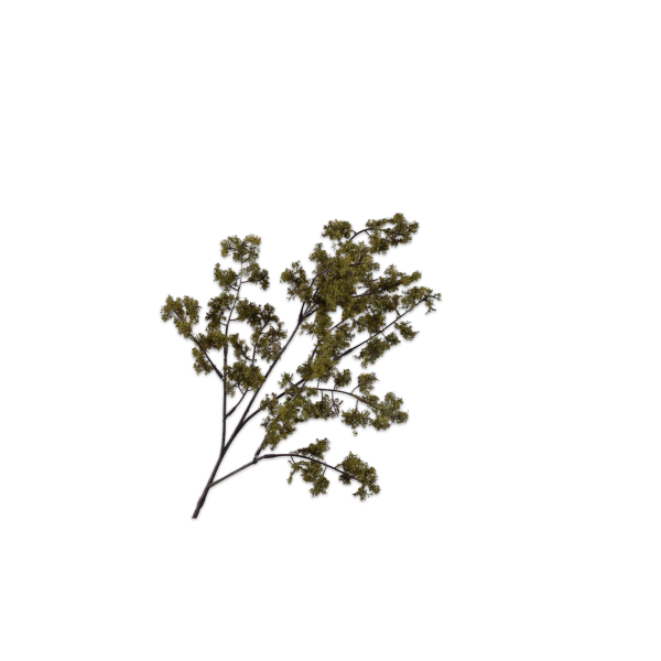 Silk-ka | Mos tak | Donkergroen | 75cm