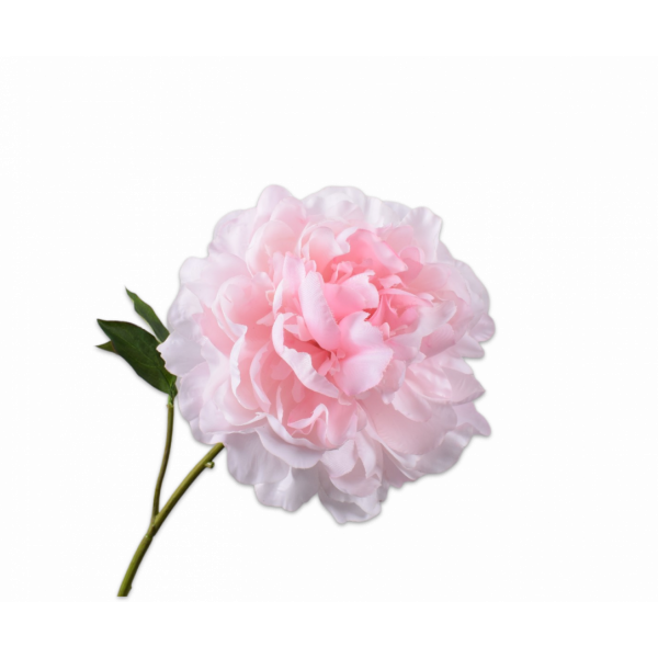SILK-KA | Silk-ka | Pioen Steel Roze| 57 cm