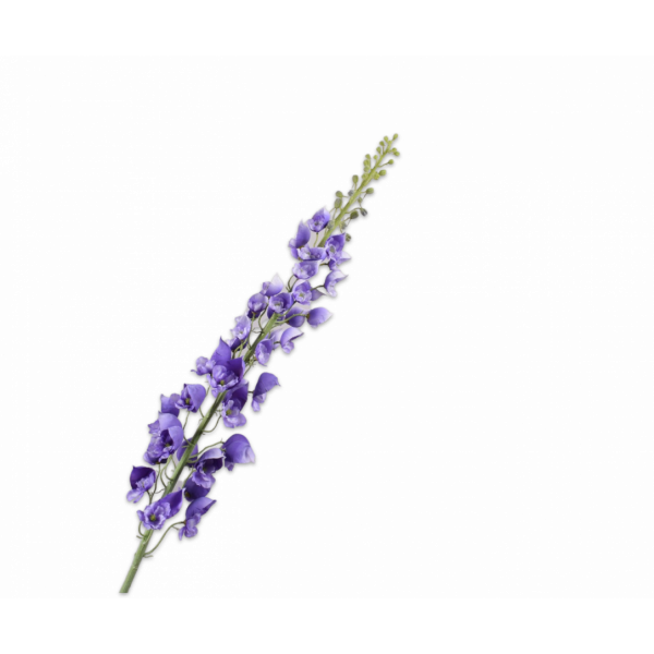 SILK-KA | Silk-ka | Delphinium Tak Lavendel | 135cm