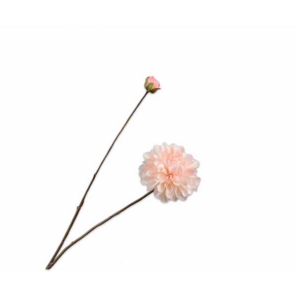 SILK-KA | Silk-ka | Dahlia Tak | Perzik | 86cm