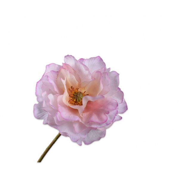 SILK-KA | Silk-ka | Klaproos Steel | Roze | 73cm