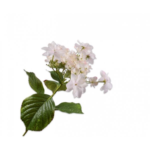 SILK-KA | Silk-ka | Hortensia Steel Roze | 74cm