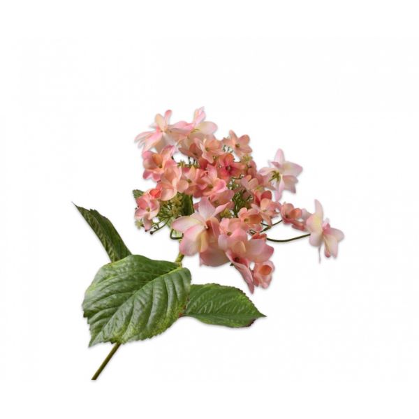 SILK-KA | Silk-ka | Hortensia Steel Perzik | 74cm