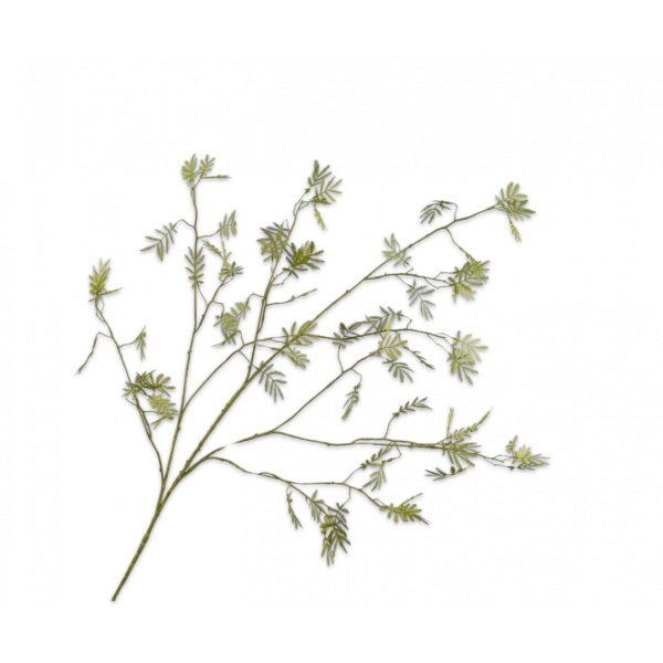 SILK-KA | Silk-ka | Mimosa Tak Groen | 132cm
