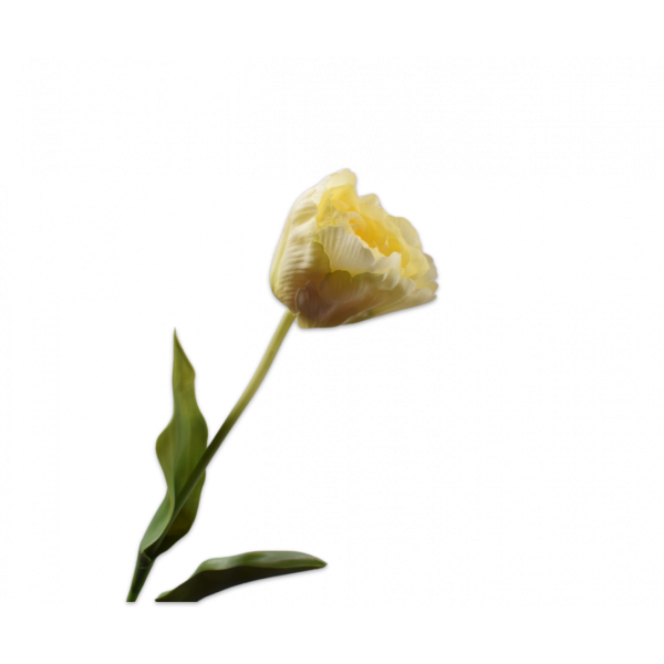 SILK-KA | Silk-ka | Tulp Steel Crème | 84cm