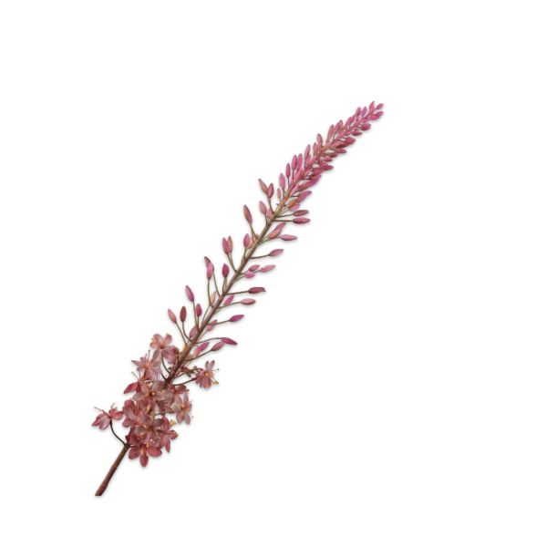 SILK-KA | Silk-ka | Eremurus Steel | Mauve | 107cm