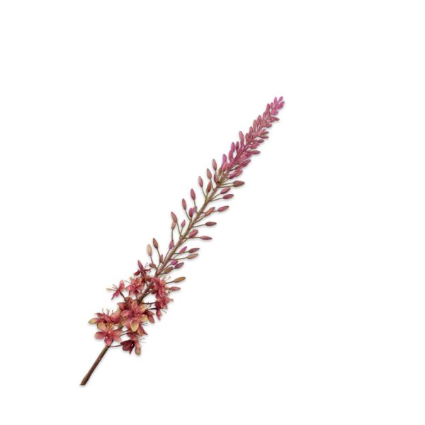 SILK-KA | Silk-ka | Eremurus Steel | Groen/Mauve | 107cm