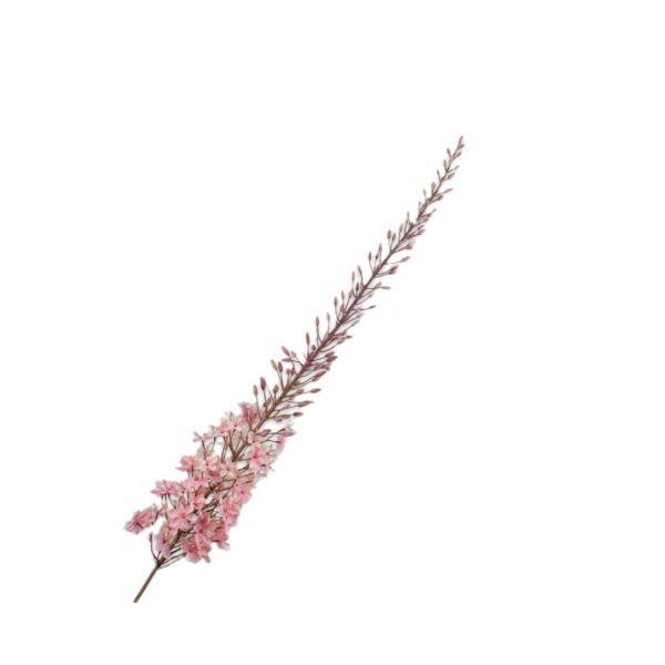 SILK-KA | Silk-ka | Eremurus Steel | Roze | 161cm