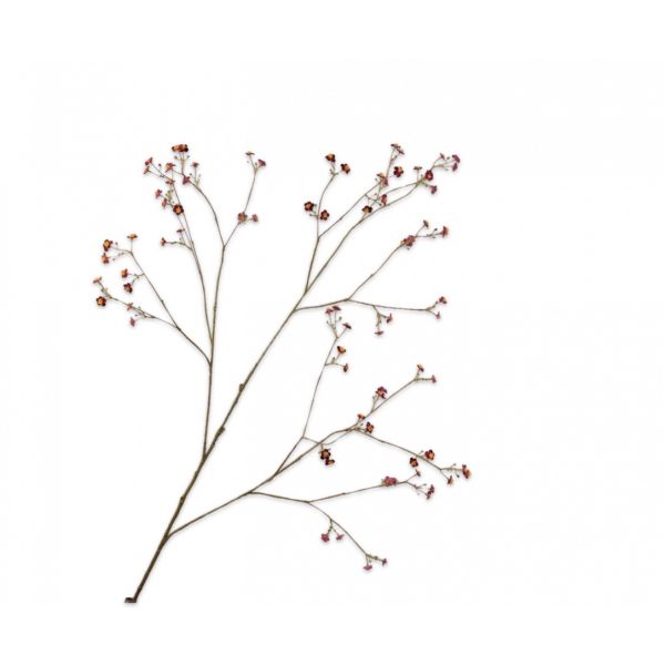 SILK-KA | Silk-ka | Vergeetmeniet Tak | Paars | 132cm