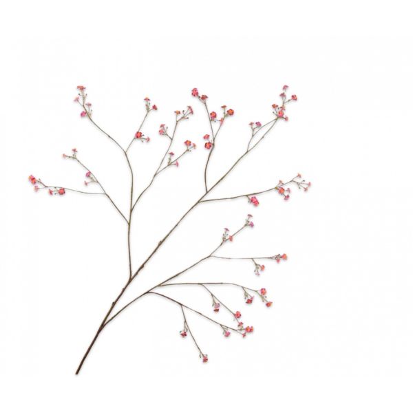 SILK-KA | Silk-ka | Vergeetmeniet Tak | Beauty | 132cm