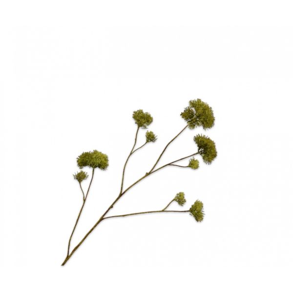 SILK-KA | Silk-ka | Mos Tak | Groen | 94cm