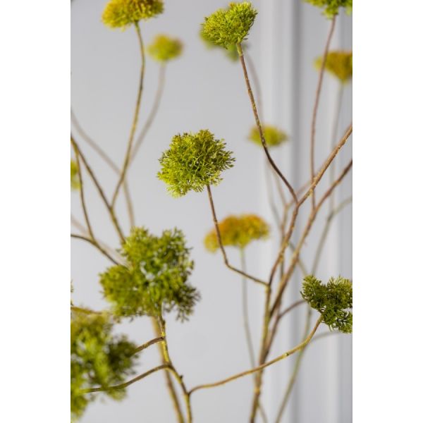 SILK-KA | Silk-ka | Mos Tak | Groen | 94cm