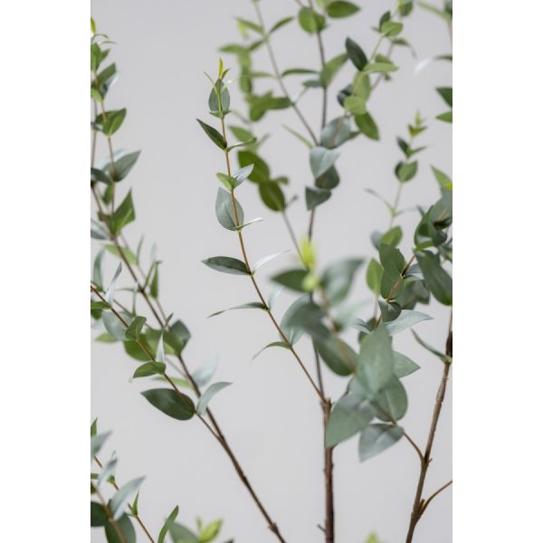 SILK-KA | Silk-ka | Bladtak | Groen | 137cm