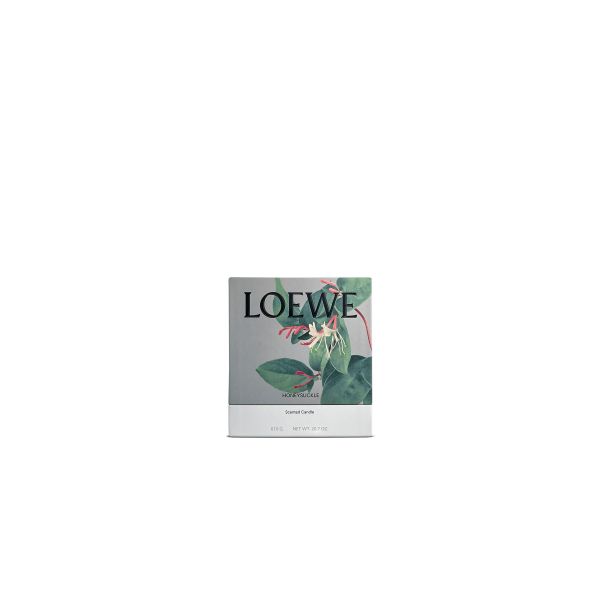 LOEWE  | Loewe | Honeysuckle | Geurkaars | M