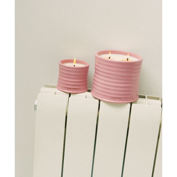 LOEWE  | Wedding Gift Roselotte | Loewe | Ivy | Geurkaars | S 