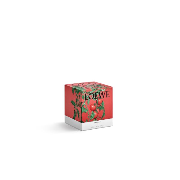 LOEWE  | Loewe | Tomato Leaves | Geurkaars | M