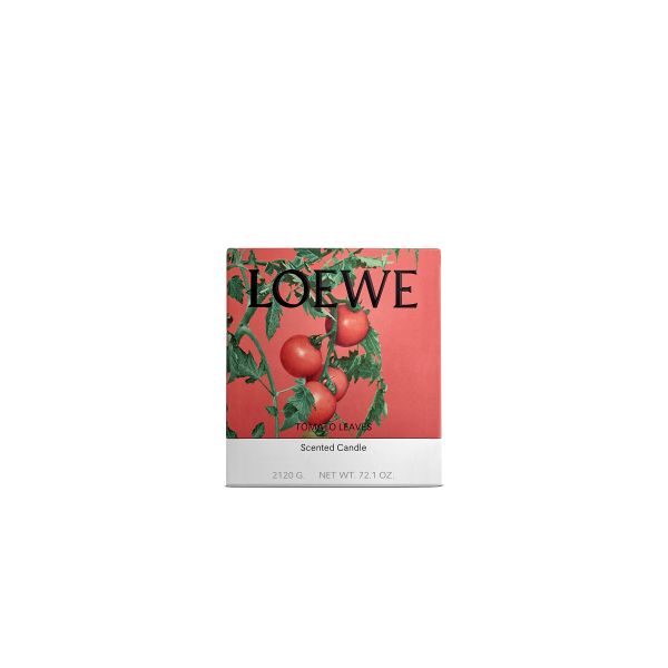 LOEWE  | Loewe | Tomato Leaves | Geurkaars | L