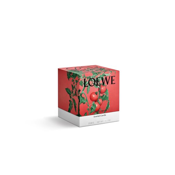 LOEWE  | Loewe | Tomato Leaves | Geurkaars | L