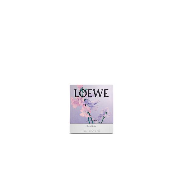 LOEWE  | Loewe | Luscious Pea | Geurkaars | M