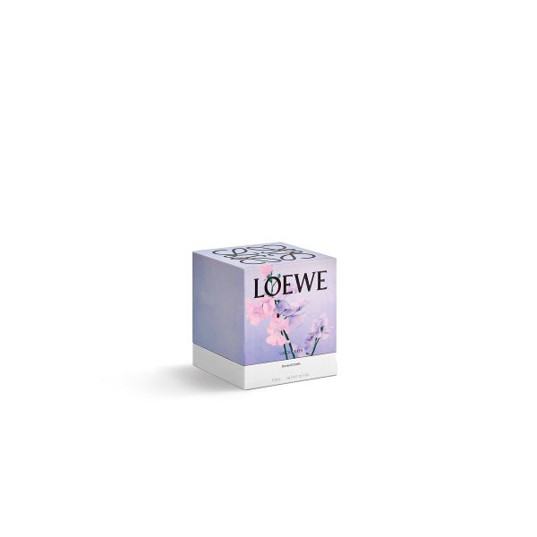 LOEWE  | Loewe | Luscious Pea | Geurkaars | M