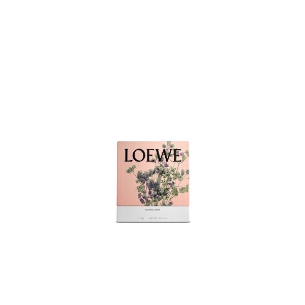 LOEWE  | Loewe | Oregano | Geurkaars | M