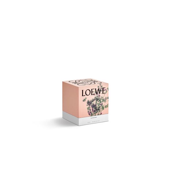 LOEWE  | Loewe | Oregano | Geurkaars | M