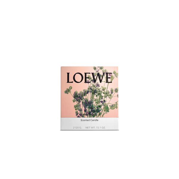 LOEWE  | Loewe | Oregano | Geurkaars | L