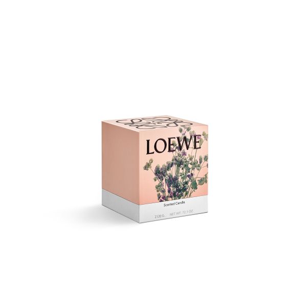 LOEWE  | Loewe | Oregano | Geurkaars | L